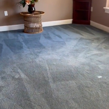Can Professional Carpet Cleaning Really Remove Pet Odors?