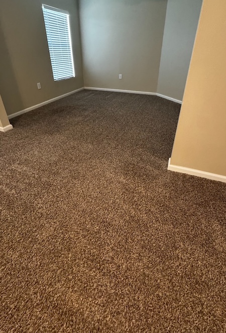 Carpet Cleaning Near Me: How to Choose the Best Company