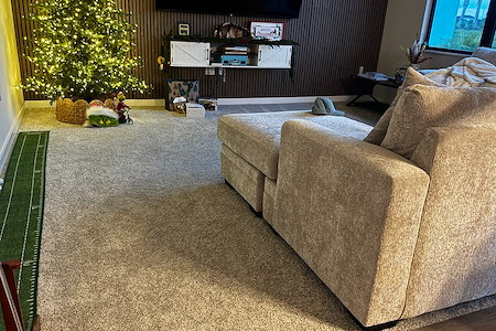 What to Do When Your Carpet Has Lingering Odors
