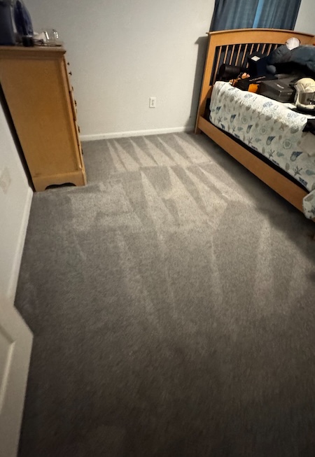 Why Is Your Carpet Still Dirty After Vacuuming? (The Gross Truth)