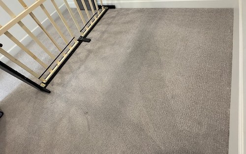 Why Regular Carpet Cleaning Matters for a Healthier Home