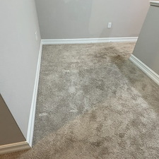Carpet-Cleaning-Melbourne-FL 2