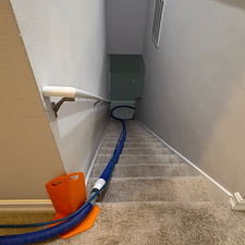 Carpet-Cleaning-Melbourne-FL 3