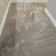 Carpet-Cleaning-Melbourne-FL 4