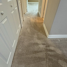 Carpet-Cleaning-Melbourne-FL 5