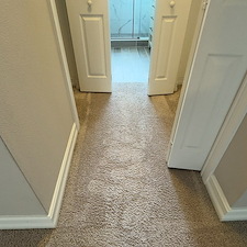 Carpet-Cleaning-Melbourne-FL 6