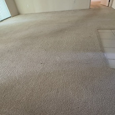 Carpet-cleaning-Palm-Bay-FL 7