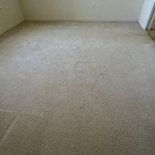 Carpet-cleaning-Palm-Bay-FL 5
