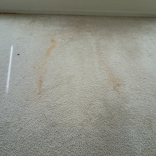 Carpet-cleaning-Palm-Bay-FL 8