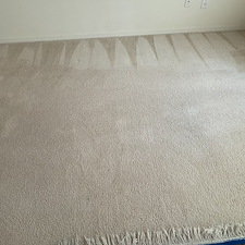 Carpet-cleaning-Palm-Bay-FL 3