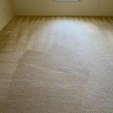Carpet-cleaning-Palm-Bay-FL 2