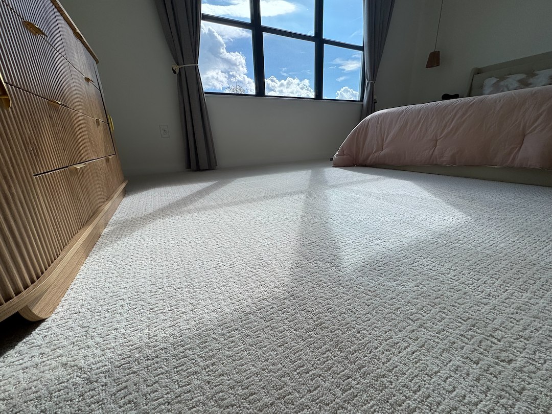 How Often Should You Professionally Clean Carpets in Florida Homes?