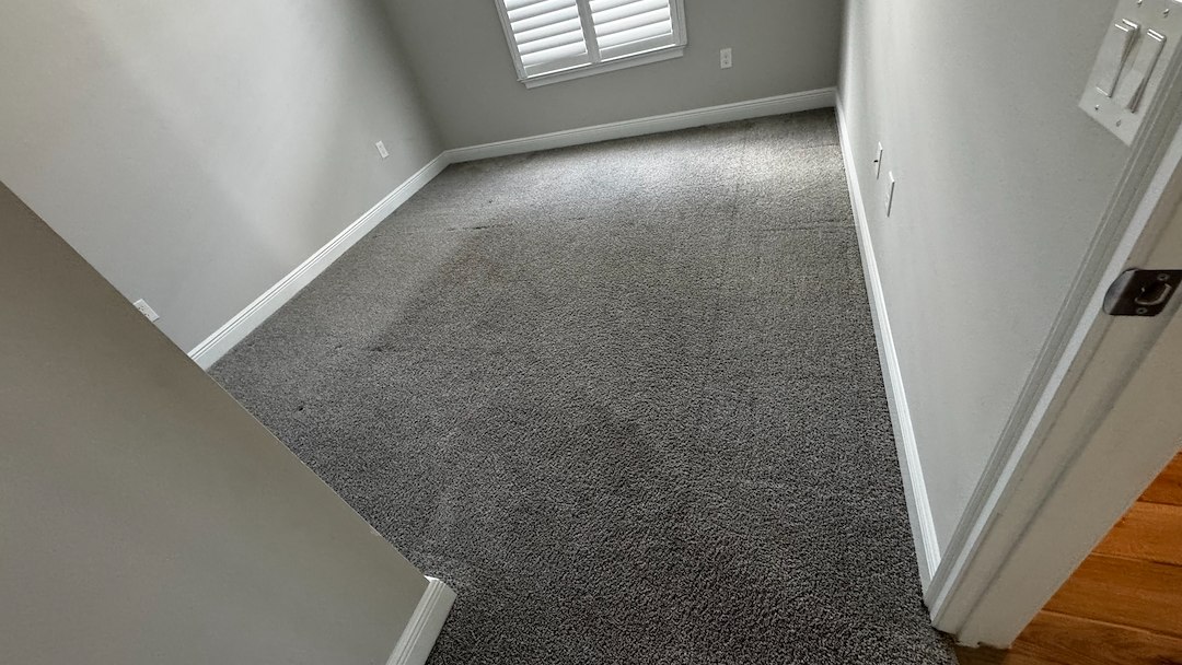 Carpet cleaning, Viera, Florida