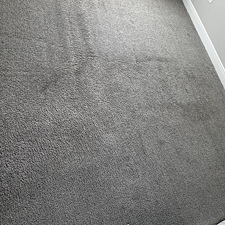 Carpet-cleaning-Viera-Florida 15
