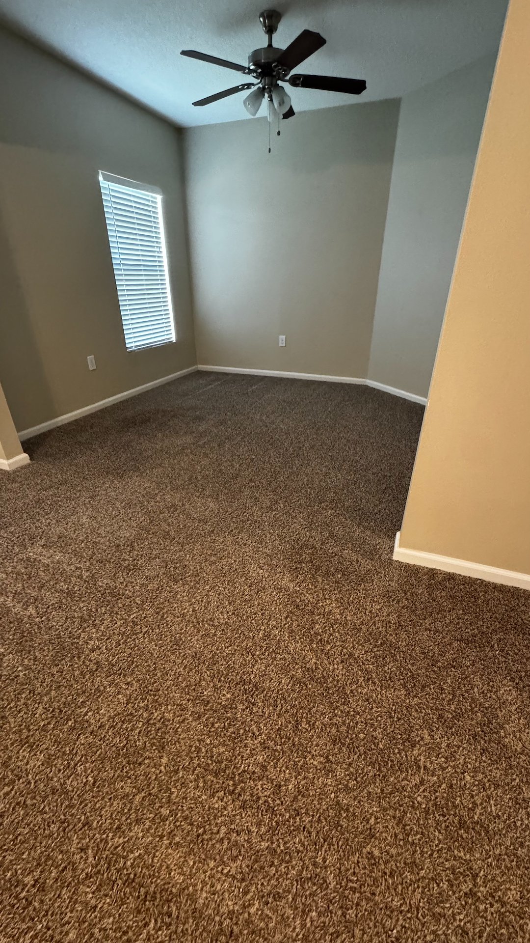 Carpet cleaning - Melbourne - Florida