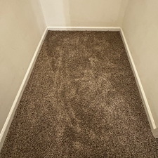 Carpet-cleaning-Melbourne-Florida 2