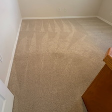 Expert-Carpet-Cleaning-service-Cocoa-Beach-FL 3