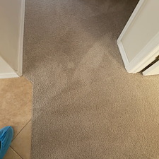 Expert-Carpet-Cleaning-service-Cocoa-Beach-FL 0