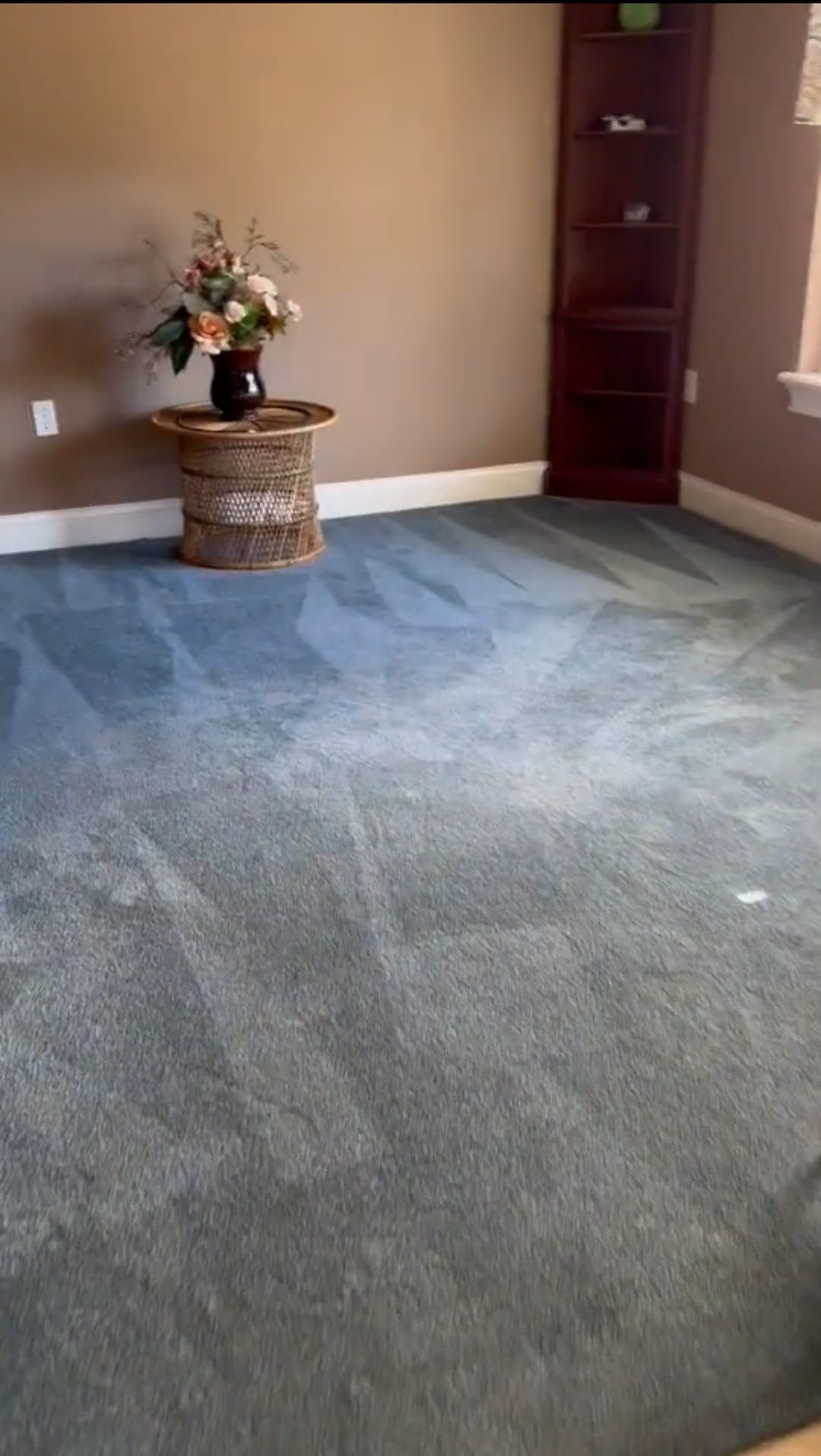 Professional Carpet Cleaning, St. Cloud, FL