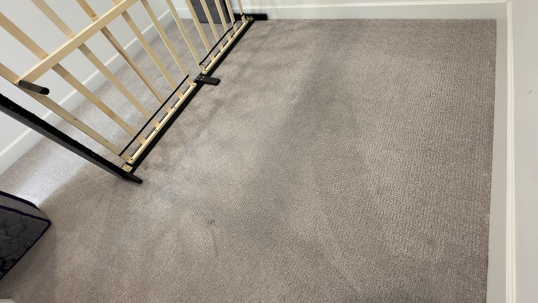 Professional Carpet Cleaning in Viera