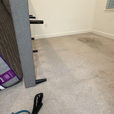 Professional-Carpet-Cleaning-in-Viera 0