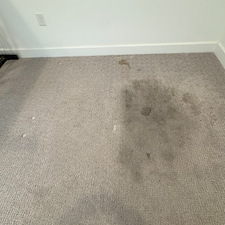 Professional-Carpet-Cleaning-in-Viera 1