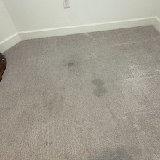 Professional-Carpet-Cleaning-in-Viera 3