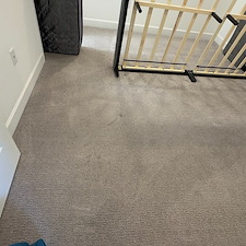 Professional-Carpet-Cleaning-in-Viera 4