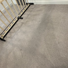 Professional-Carpet-Cleaning-in-Viera 5