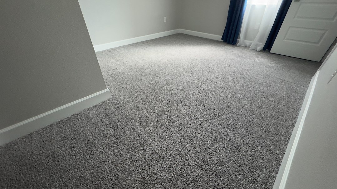 Professional carpet cleaning in Viera, FL