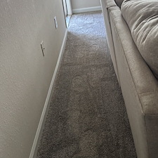 Professional-carpet-cleaning-in-Viera-FL 8