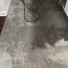 Professional-carpet-cleaning-in-Viera-FL 0