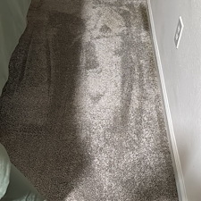 Professional-carpet-cleaning-in-Viera-FL 1