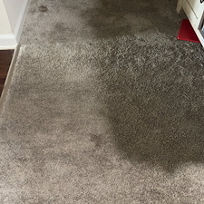 Professional-carpet-cleaning-in-Viera-FL 12
