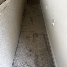 Professional-carpet-cleaning-in-Viera-FL 3