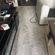 Professional-carpet-cleaning-in-Viera-FL 6