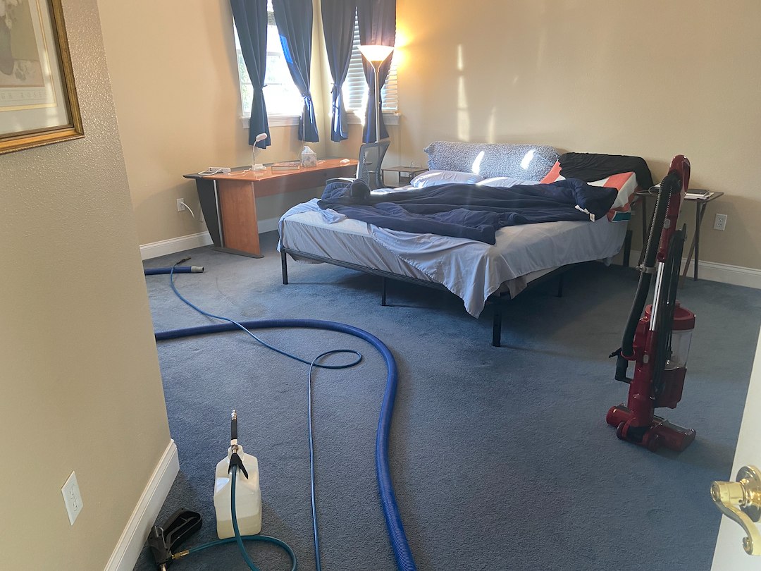 Professional Carpet Cleaning St. Cloud, FL 34772