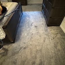 Professional-carpet-upholstery-cleaning-Viera-Florida 0
