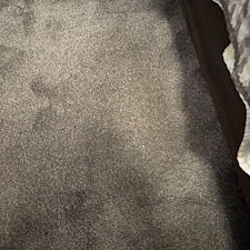 Professional-carpet-upholstery-cleaning-Viera-Florida 1