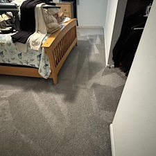 Professional-carpet-upholstery-cleaning-Viera-Florida 2