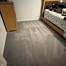 Professional-carpet-upholstery-cleaning-Viera-Florida 3