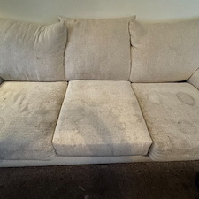 Professional-carpet-upholstery-cleaning-Viera-Florida 6