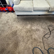 Professional-carpet-upholstery-cleaning-Viera-Florida 11