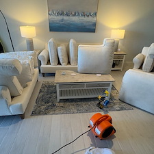 Professional-Couch-cleaning-service 1