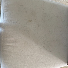 Upholstery-Cleaning-Cocoa-Beach-Florida 1